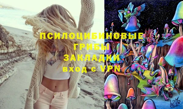 амф Вязьма