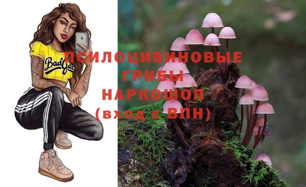 амф Вязьма