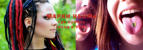 амф Вяземский
